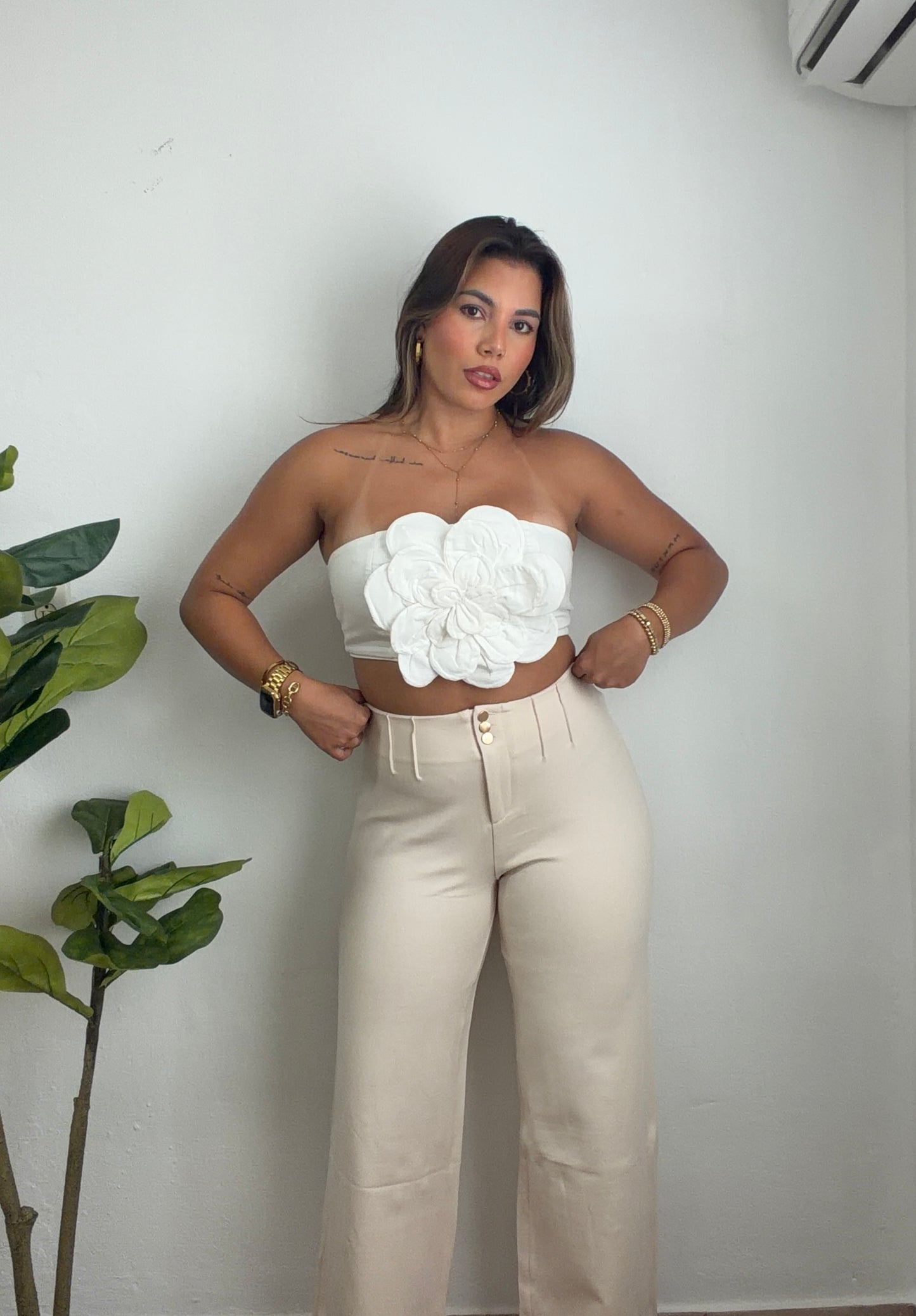 Beige Palazzo Pant