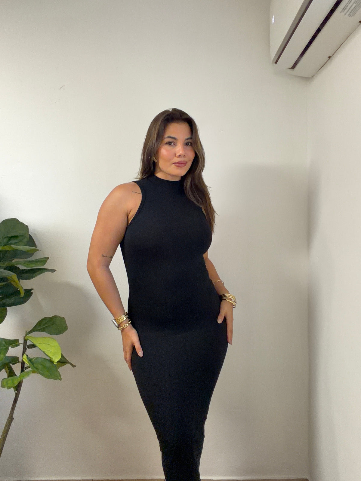 Turtle Neck Perfect Dress