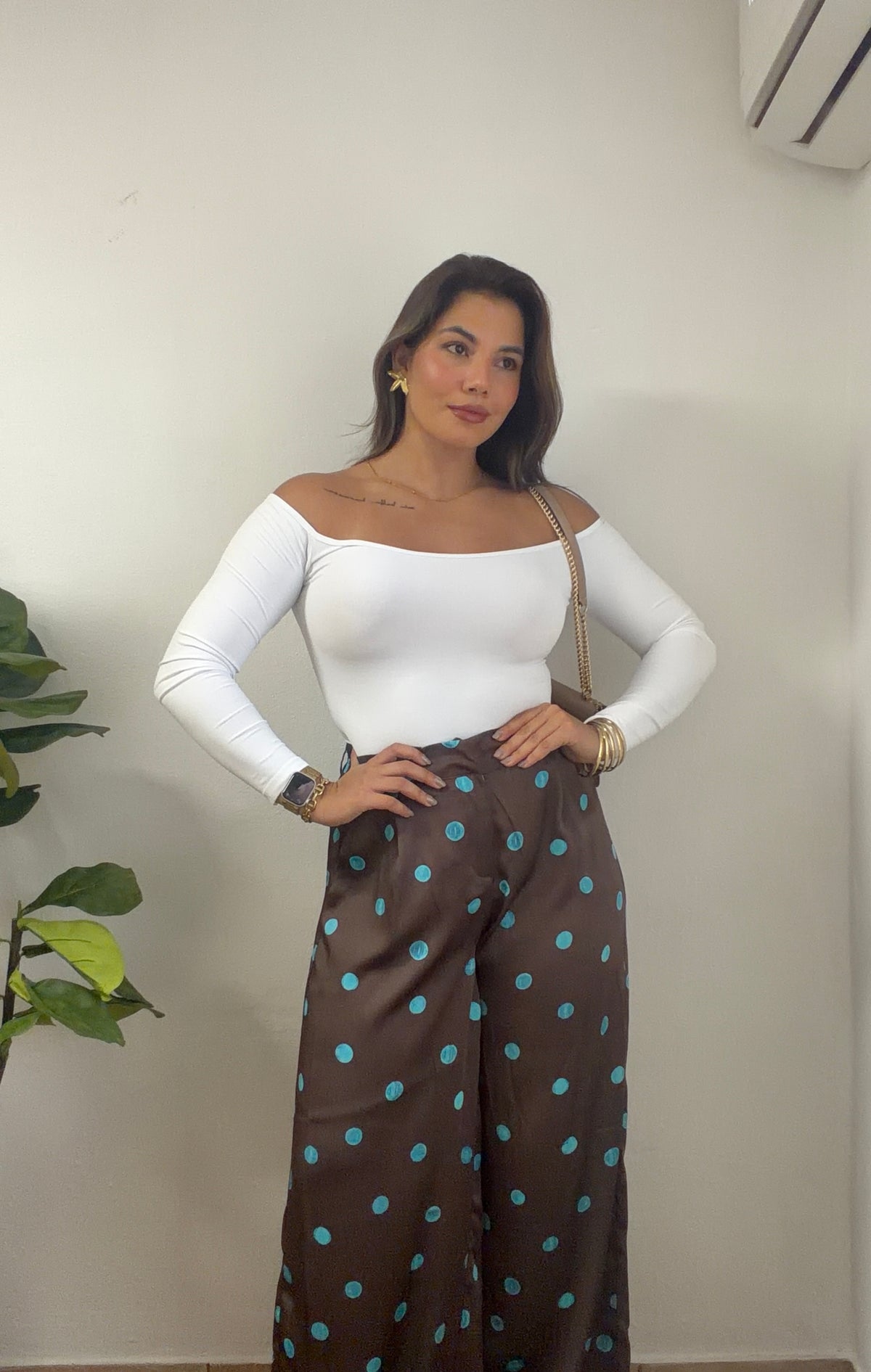 Polka Dots Blue & Brown Pant